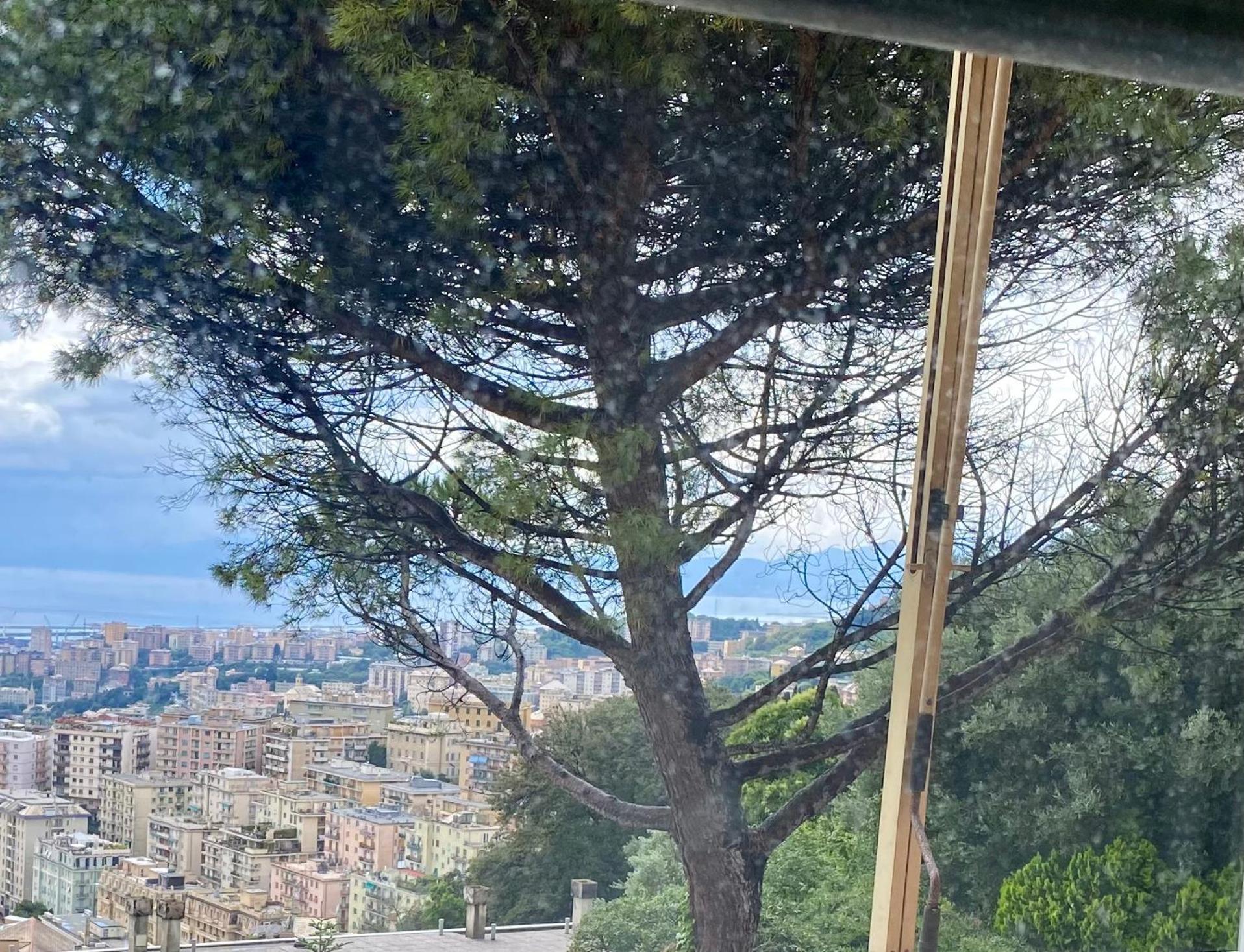 Apartament Genoa View & Hiking In Italian Riviera Zewnętrze zdjęcie
